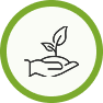 Sapling-over-hand
