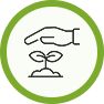 sapling-under-hand
