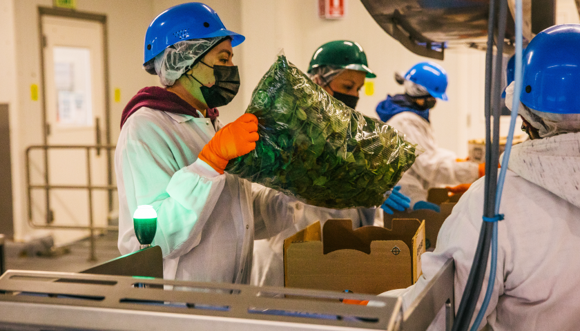 Industrial facility representing food and agricultural manufacturers