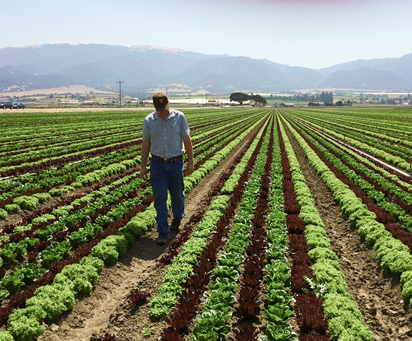 A Western Growers Association member receiving health plan information